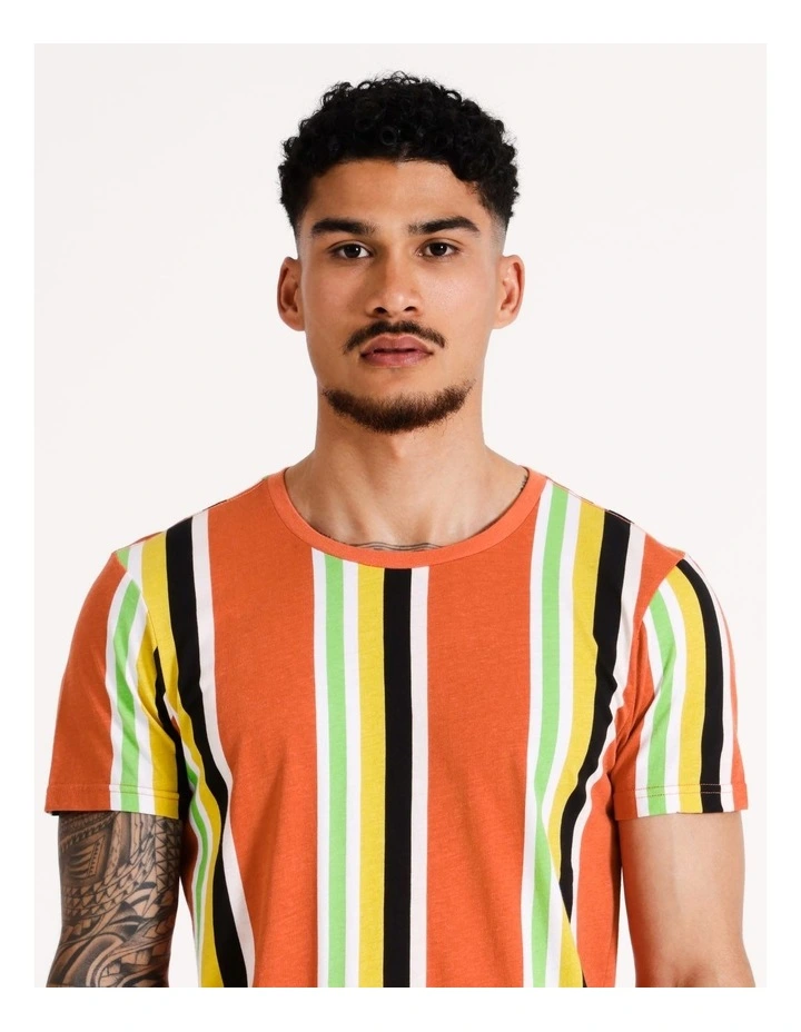 Santiago Stripe Print Short Sleeve Tee in Multicolour