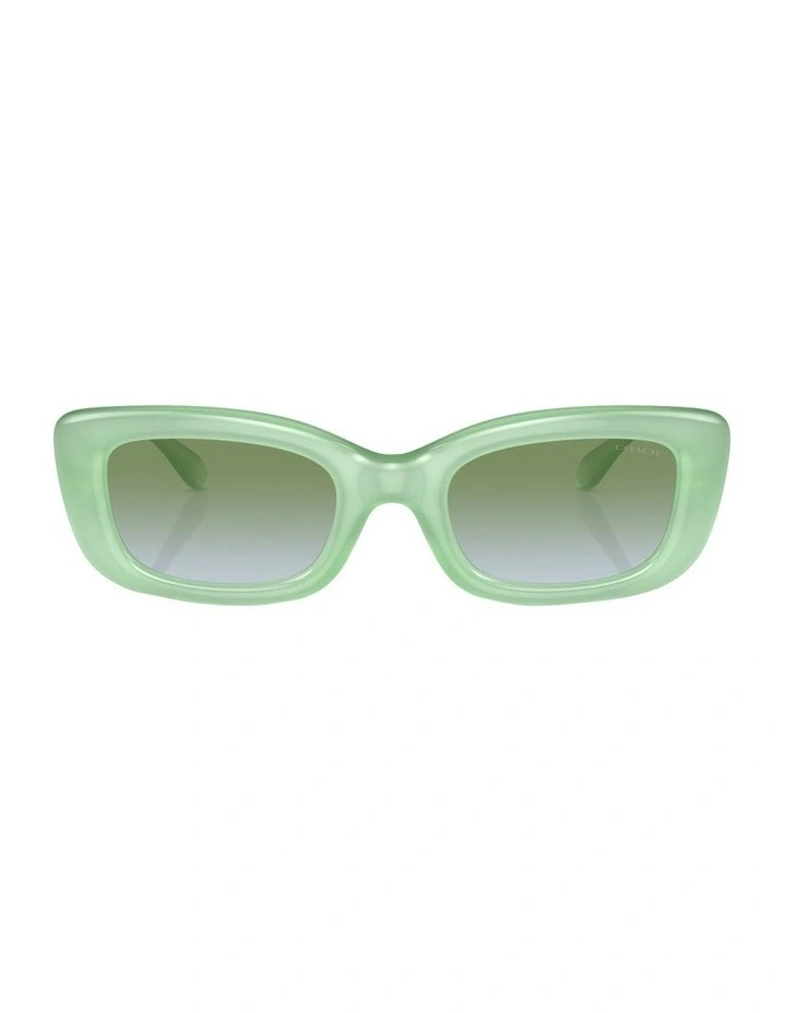 CR610 Sunglasses in Green