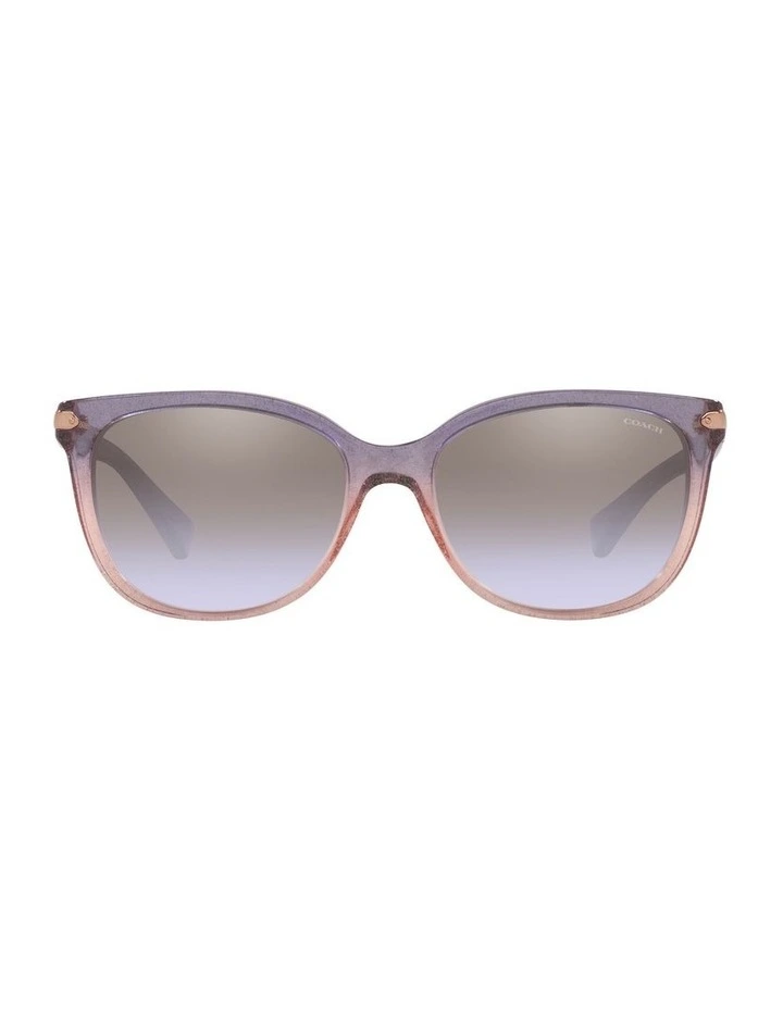 HC8132 L109 Violet Sunglasses
