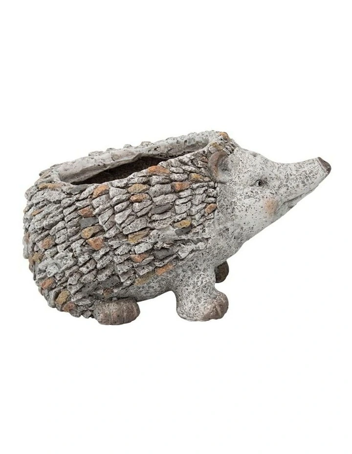 Echidna Planter in Green