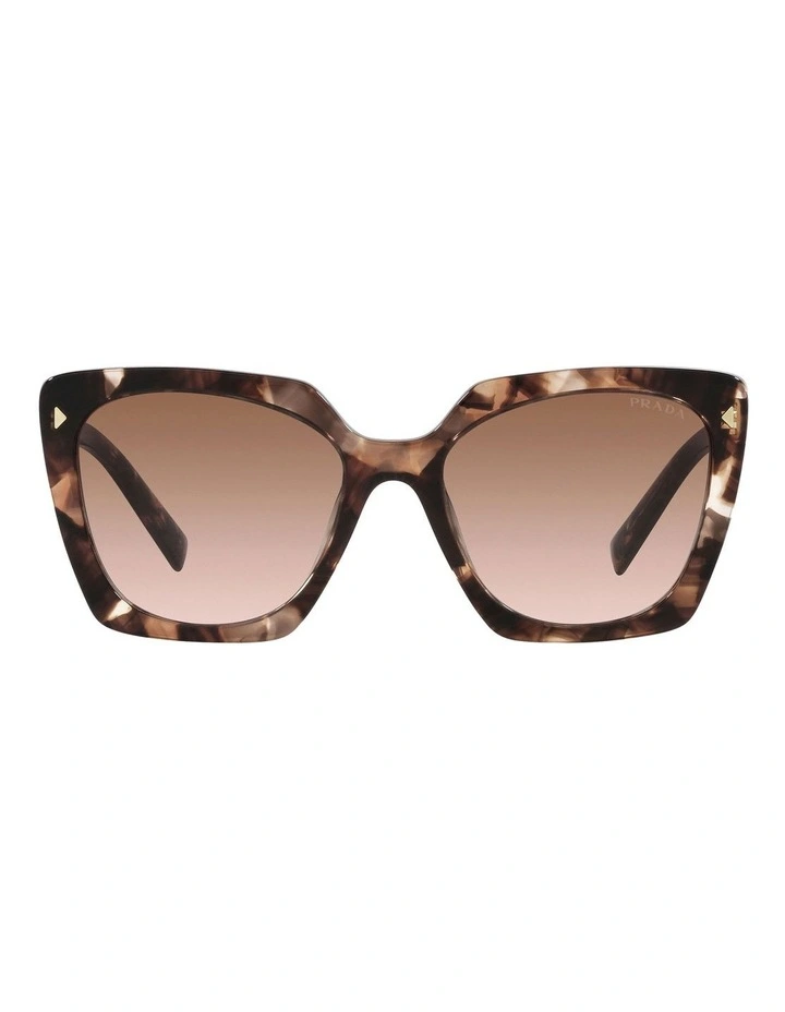 PR 23ZS Tortoise Sunglasses in Brown