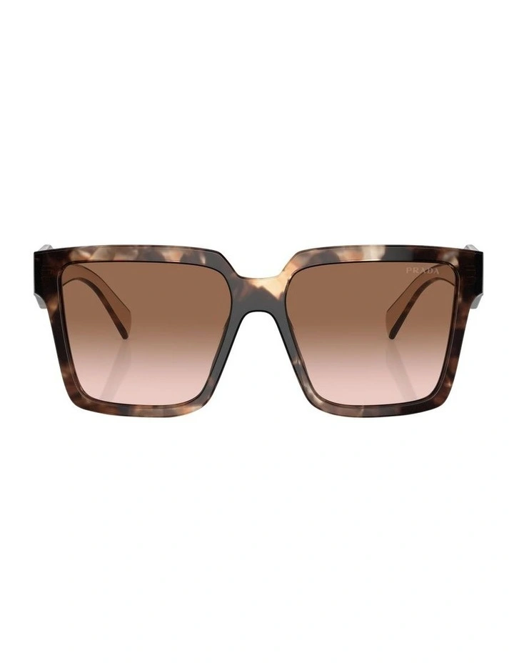 PR 24ZSF Tortoise Sunglasses in Brown