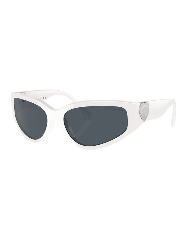TF4217 Sunglasses in White