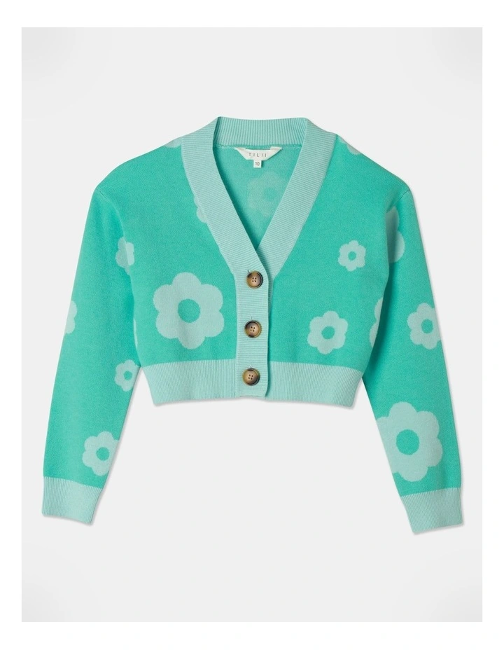 Jacquard Cardigan in Mint