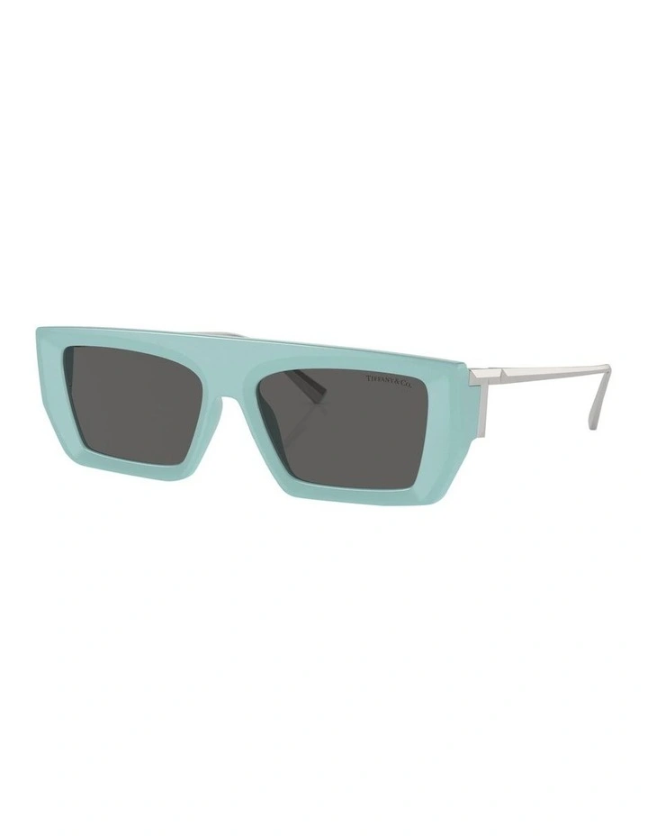 TF4214U Sunglasses in Blue