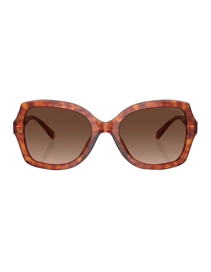 L1147 Polarised Sunglasses in Tortoise