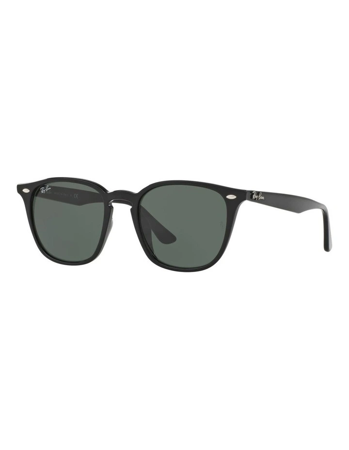Black RB4258F Sunglasses