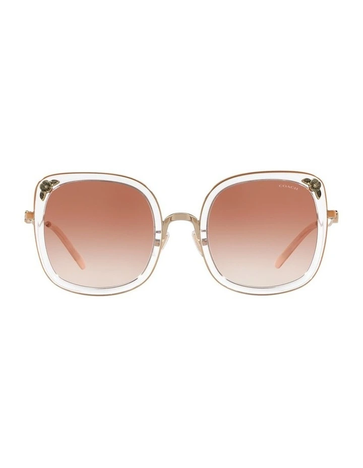 HC7101B L1081 Copper Sunglasses