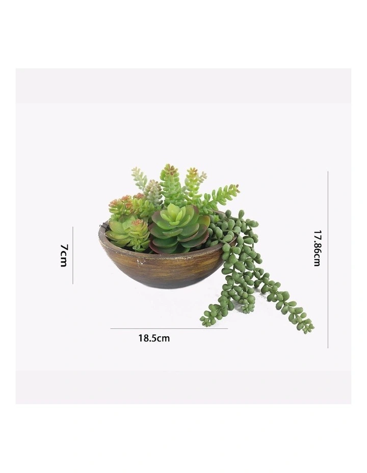Artificial Succulent Plant in Pot in Green/Natural