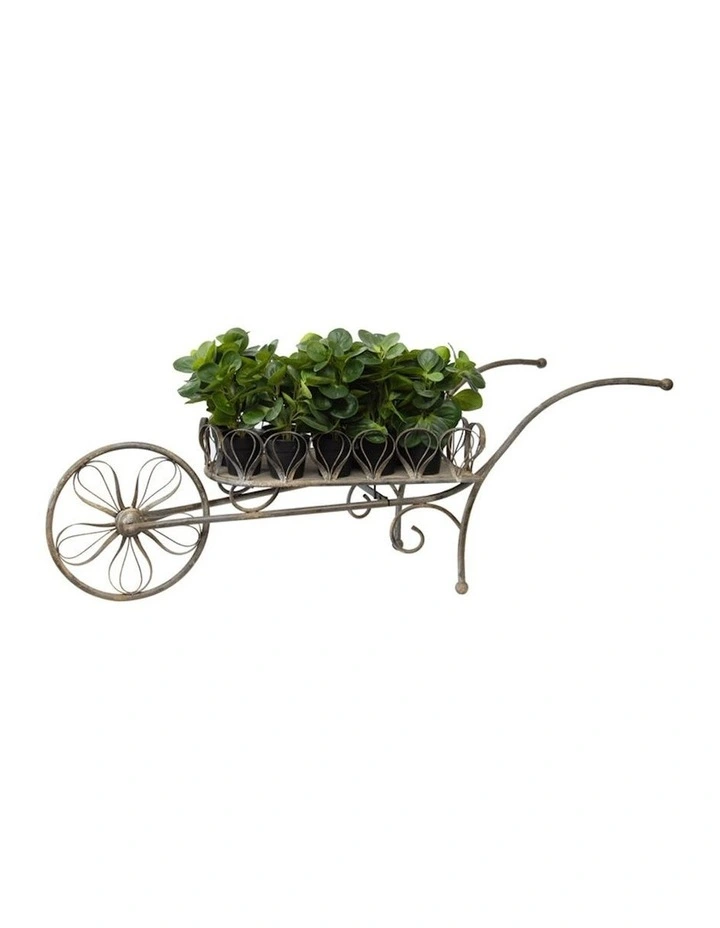 Large Decorative Wheelbarrow Pot Planter 135cm in Distressed White/Rust