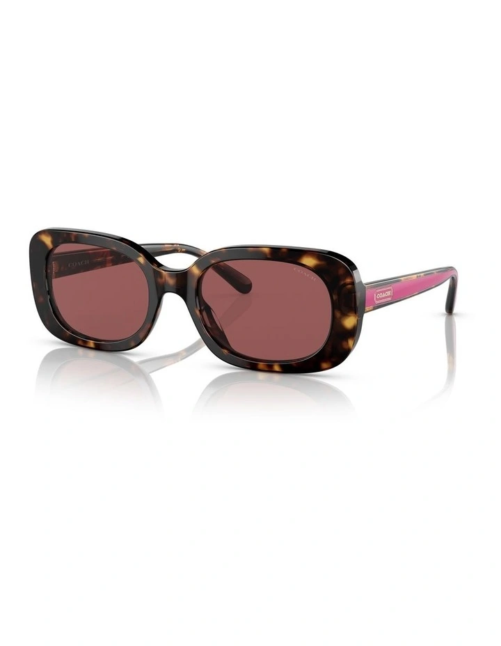 CD471 Sunglasses in Dark Tortoise