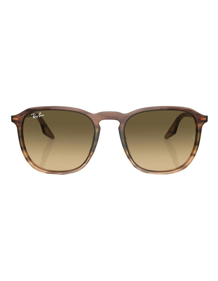 RB2203 Sunglasses in Brown