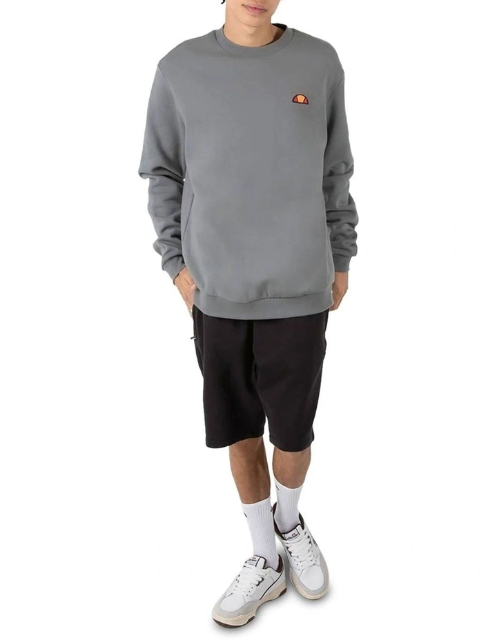 Shivo Oversized Sweatshirt in Grey