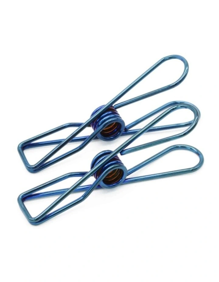 Large Stainless Steel Pegs 40 Pack in Blue