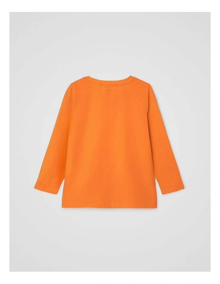 Lova Long Sleeve Top in Orange