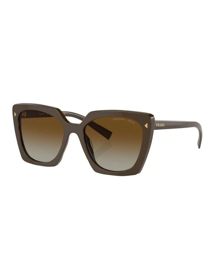 PR 23ZS Polarised Sunglasses in Green