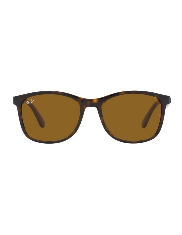 RB4374 Tortoiose Sunglasses
