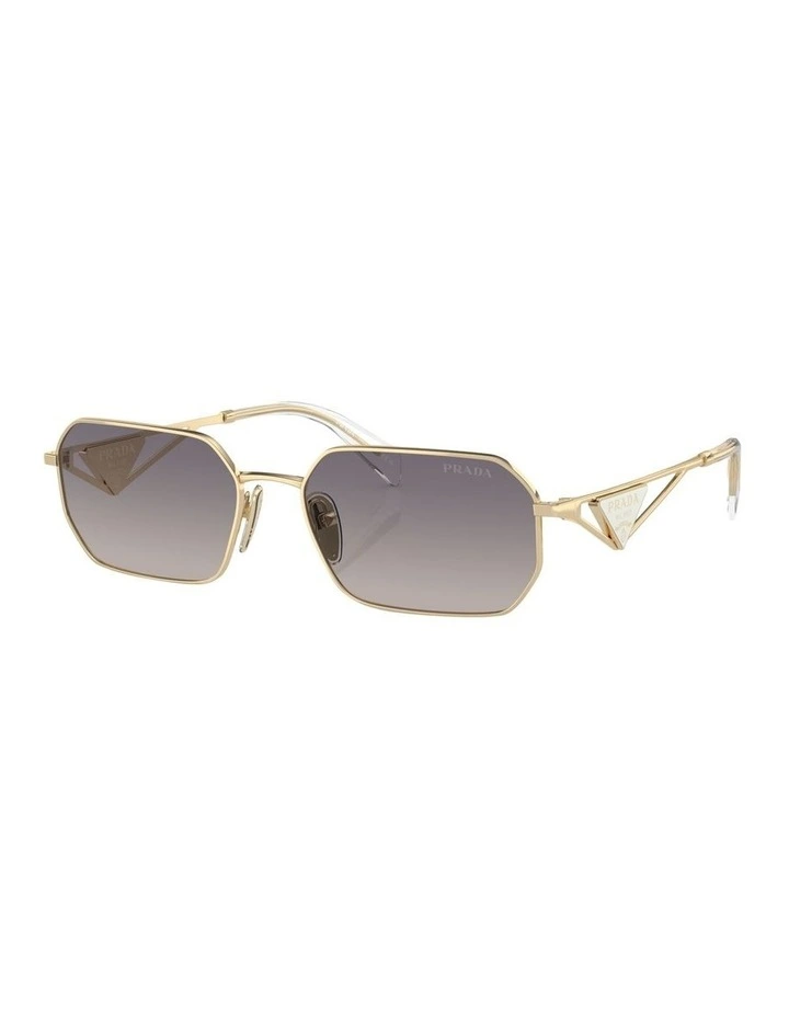 PR A51S Sunglasses in Gold