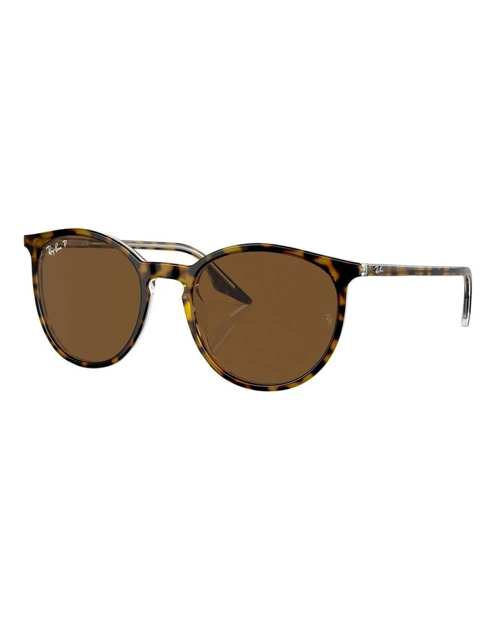 Polarised RB2204 Sunglasses in Brown
