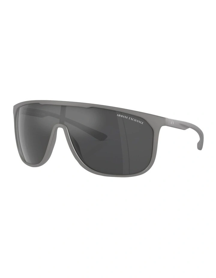 AX4137SU Sunglasses in Grey