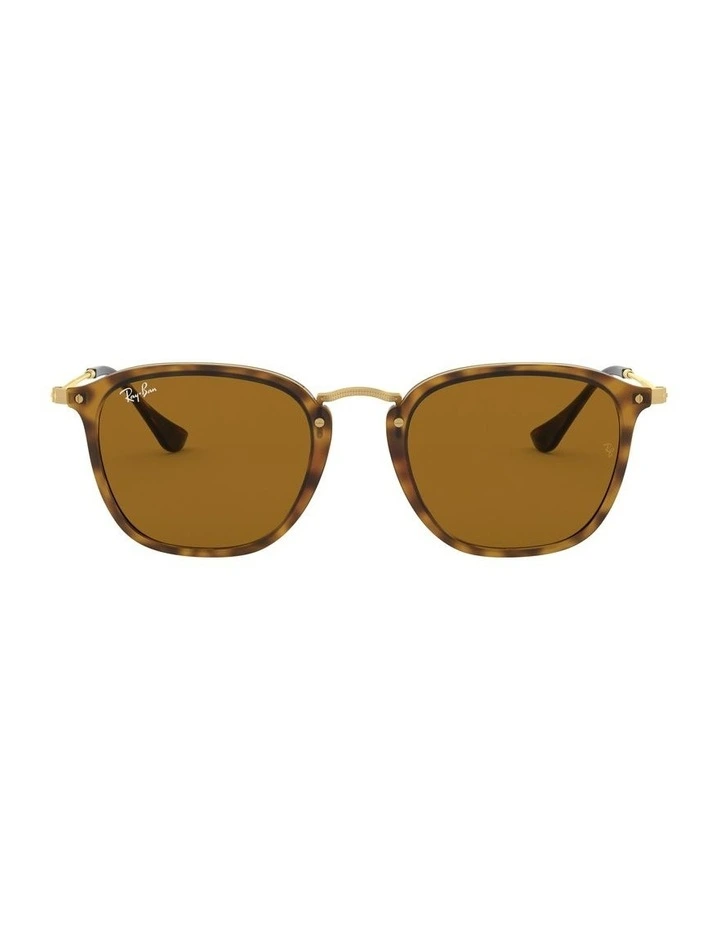RB2448N Brown Sunglasses