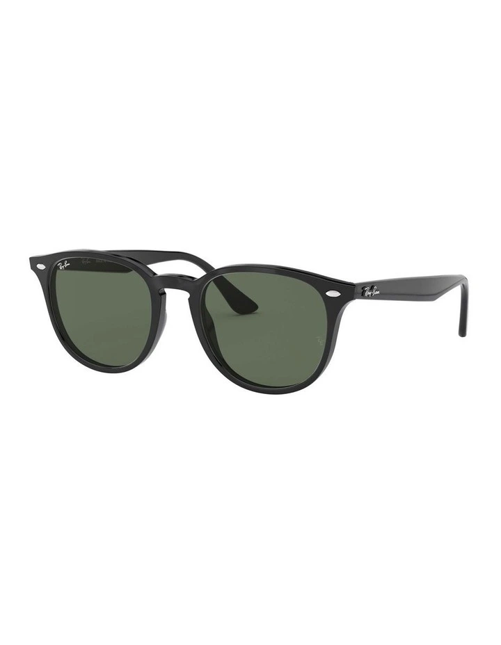 RB4259 Black Sunglasses