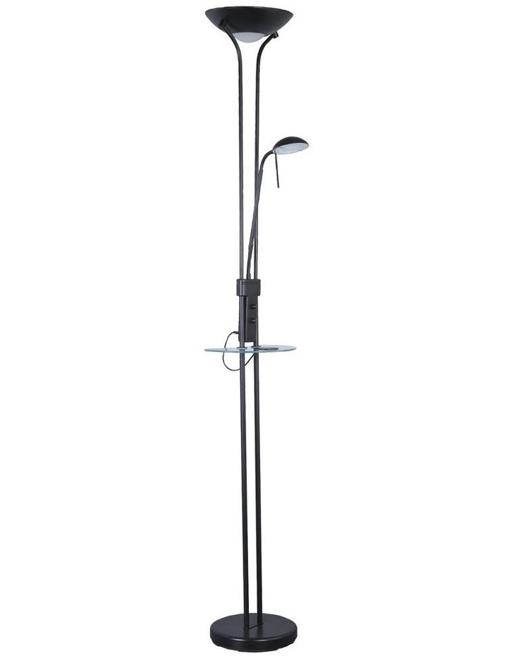 Seed USB LED Mother & Child Floor Lamp in Black