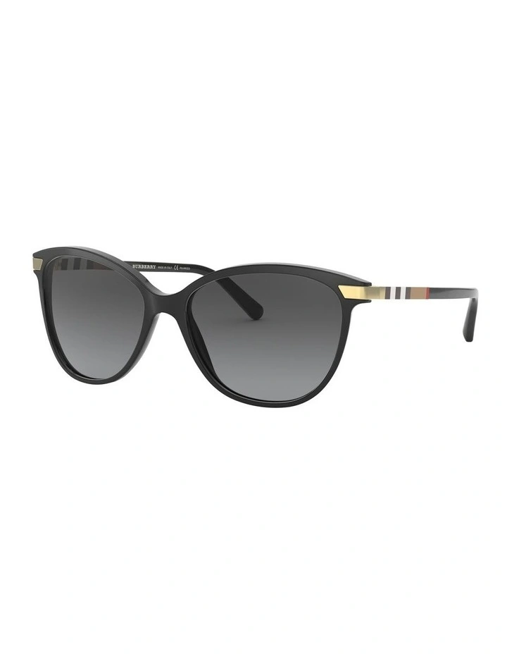 BE4216 Black Polarised Sunglasses