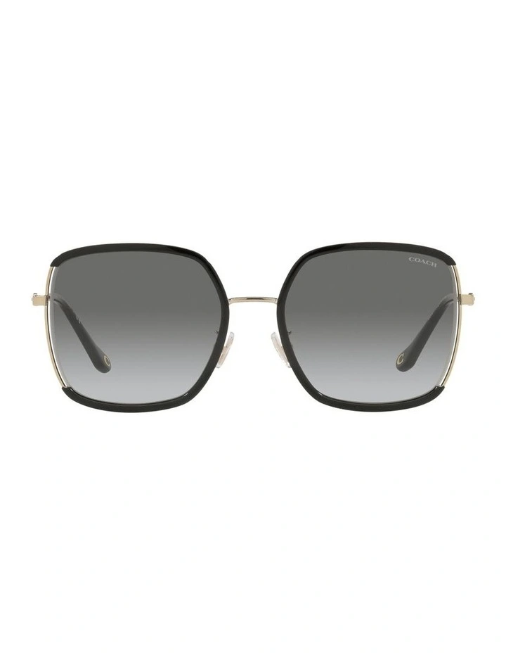 HC7139BD C8000 Black Sunglasses