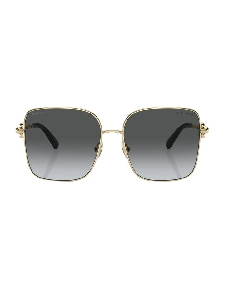 Polarised TF3094 Sunglasses in Gold