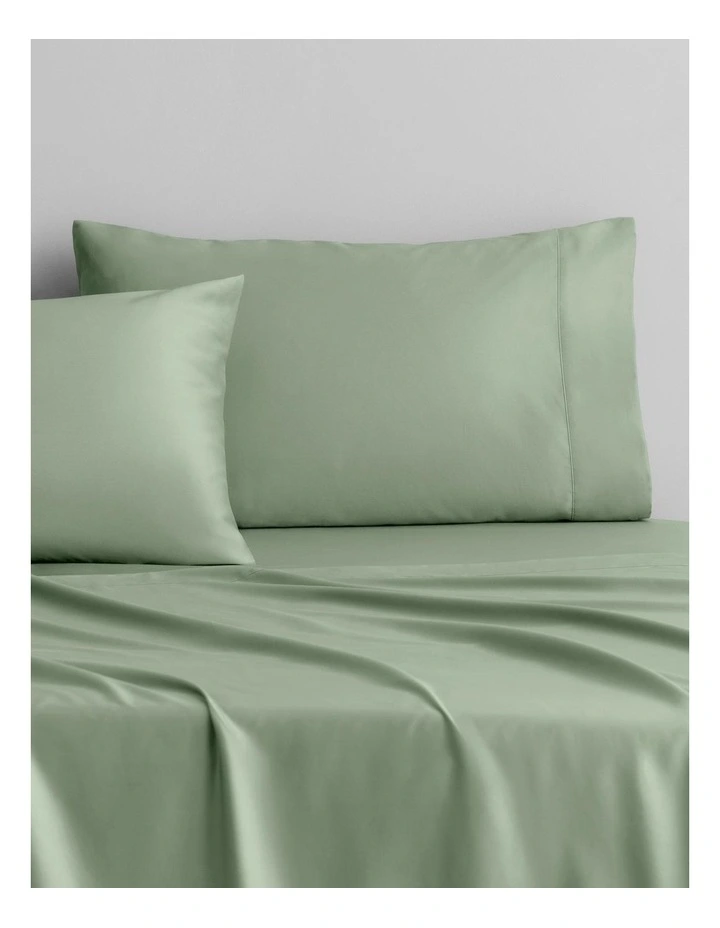 500TC Egyptian Cotton Sheet Set in Cactus