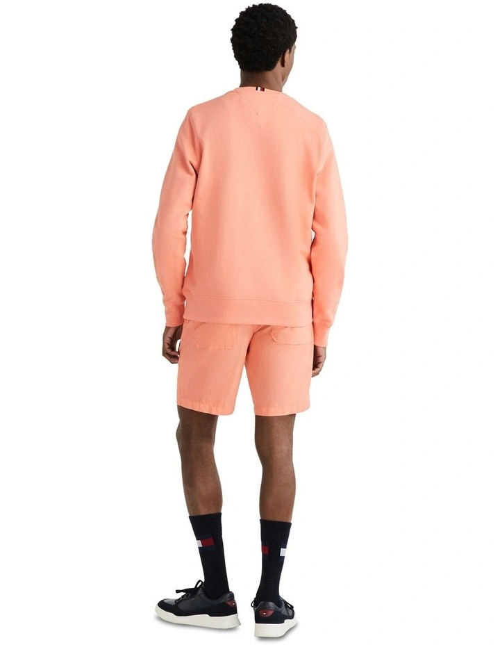 Painted Graphic Crew Sweat Top in Peach