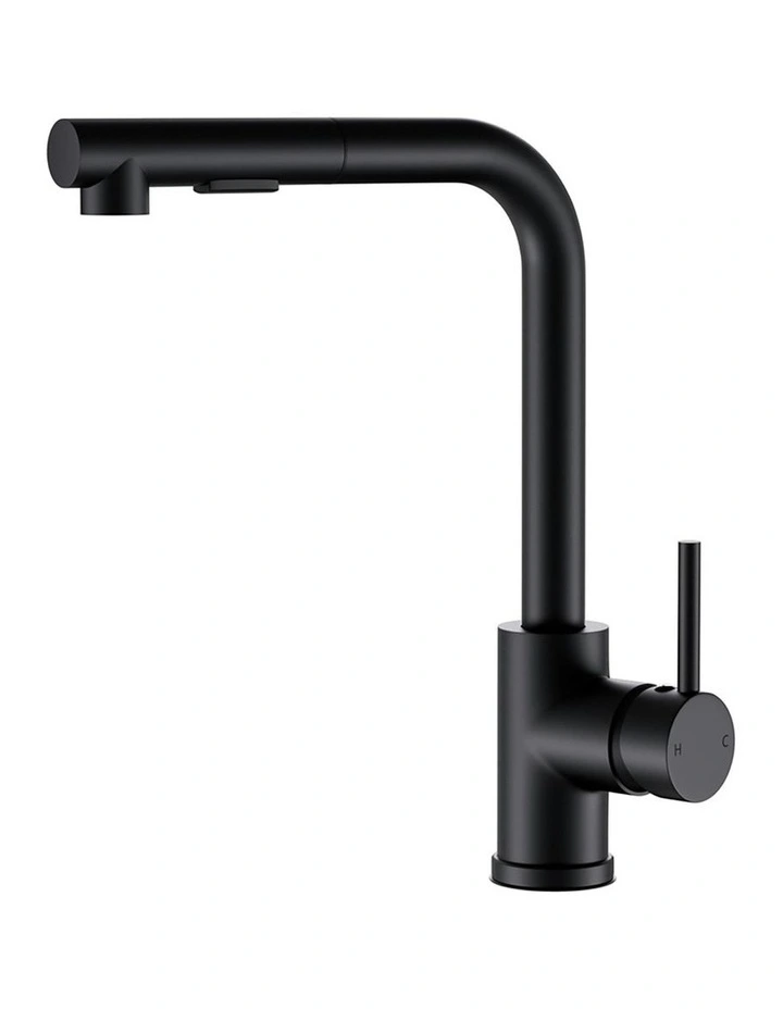 Kitchen Mixer Tap Pull Out Rectangle 2 Mode Sink Basin in Black