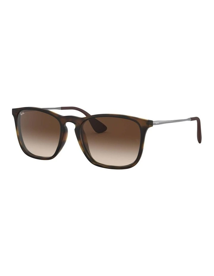 Chris Brown RB4187 Sunglasses