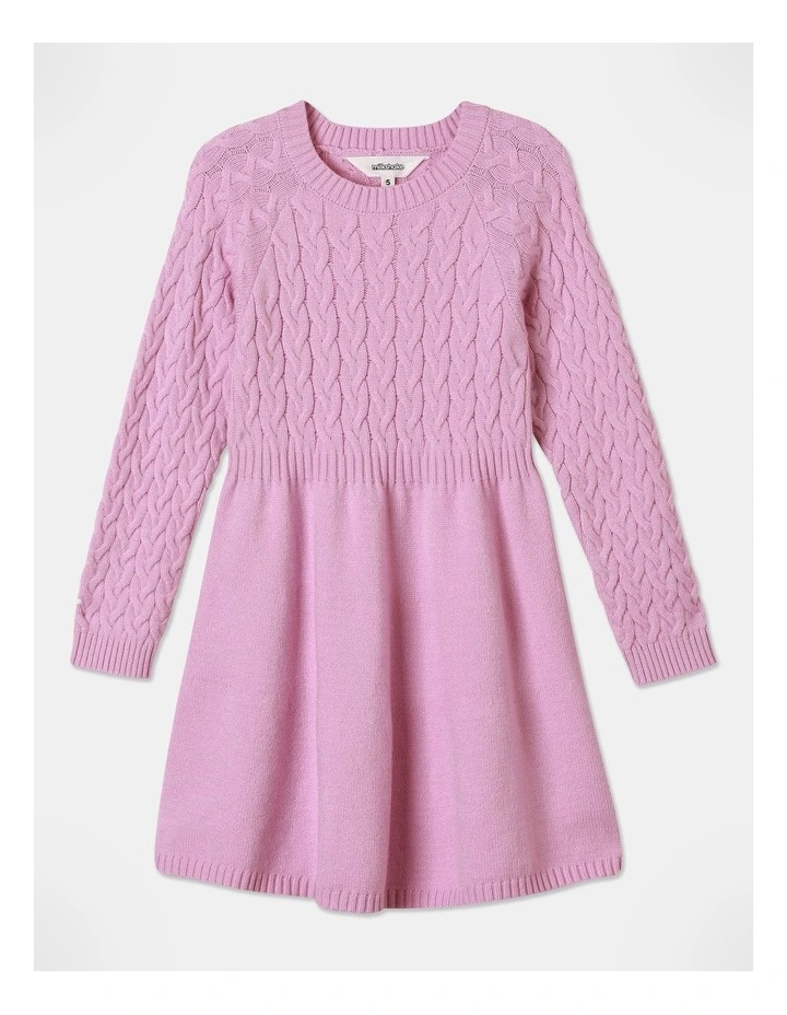 Fashioned Knit Dress in Pink