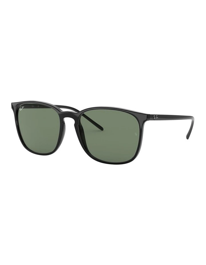 Black RB4387F Sunglasses