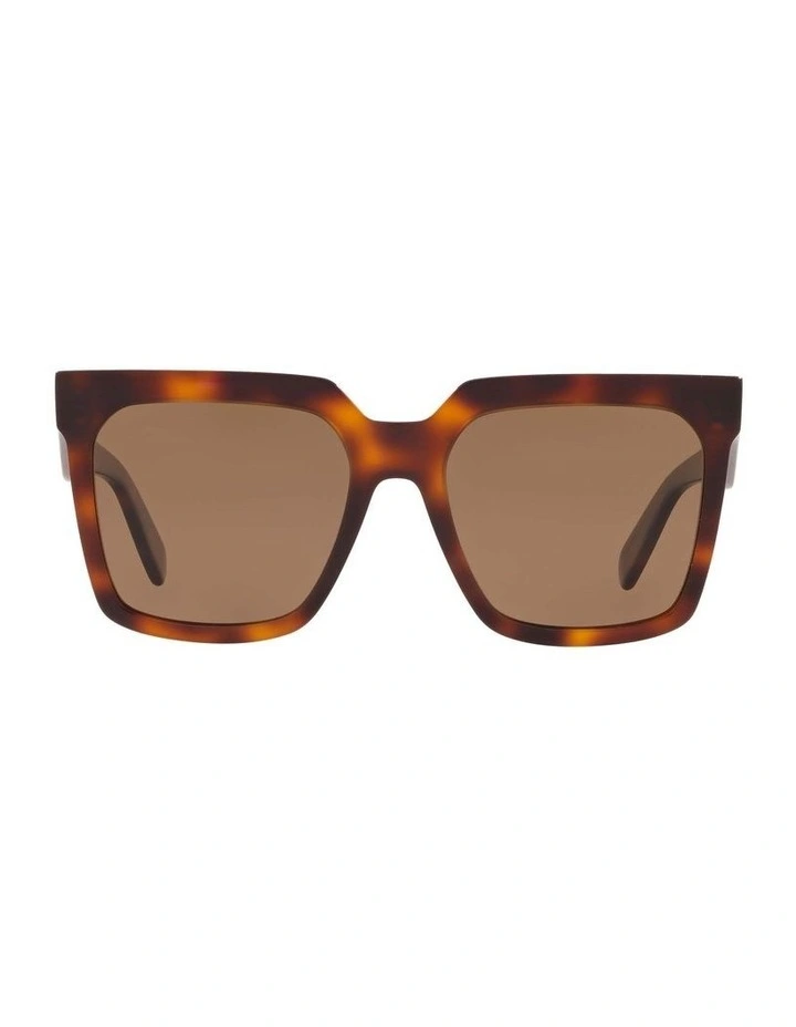 CL4055IN Tortoise Polarised Sunglasses