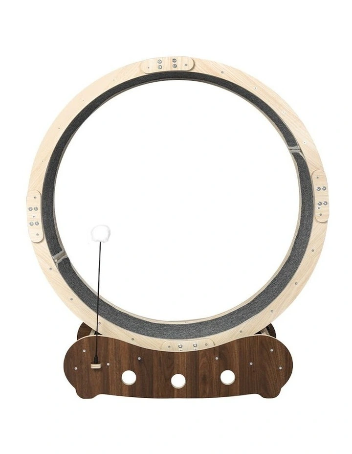 Cat Exercise Wheel 50kg in Multi