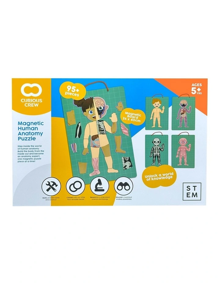 Magnetic Human Body Anatomy Puzzle