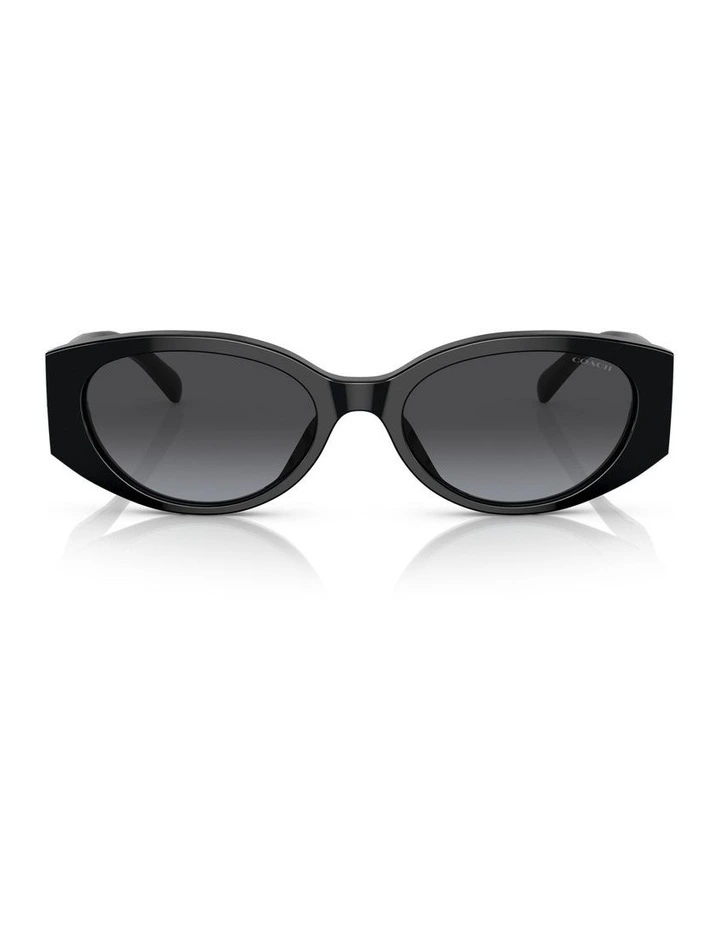 CD473 Sunglasses in Black