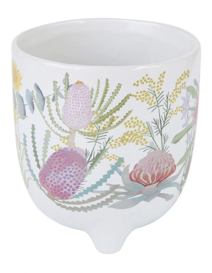 Royal Botanic Gardens Native Blooms Plant Pot 12cm in Multi