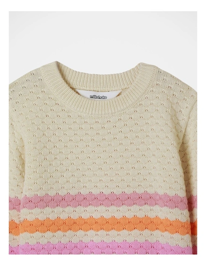 Stripe Embroidered Knit Jumper in Assorted