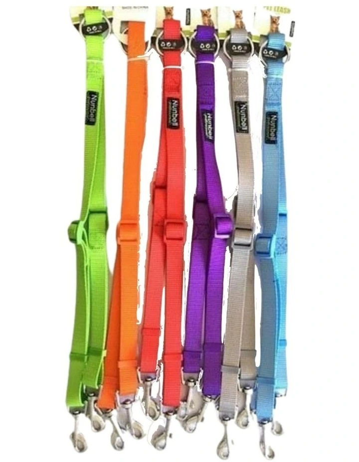 Double Dog Leash in Multicolor