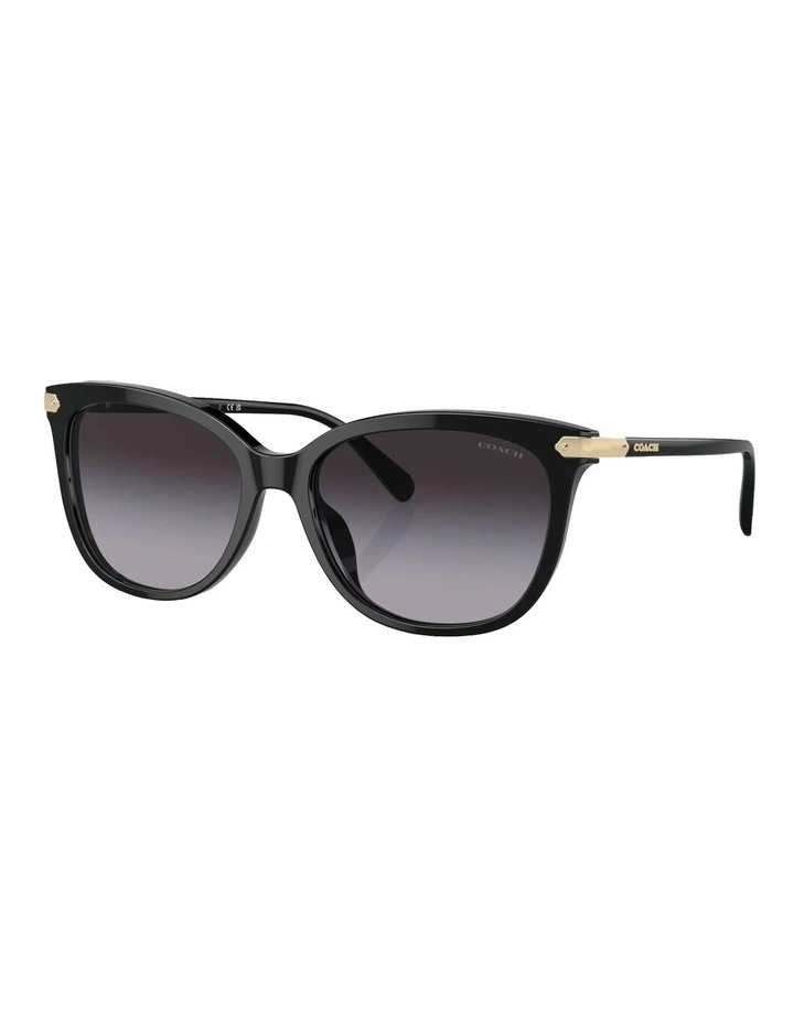 CL926 Sunglasses in Black