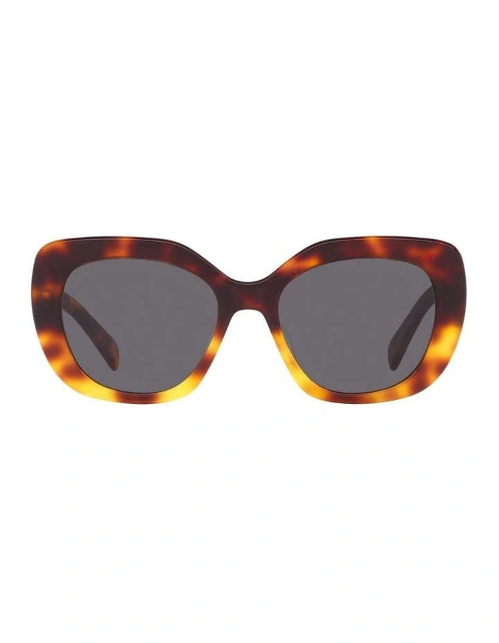 CL40226U Sunglasses in Tortoise