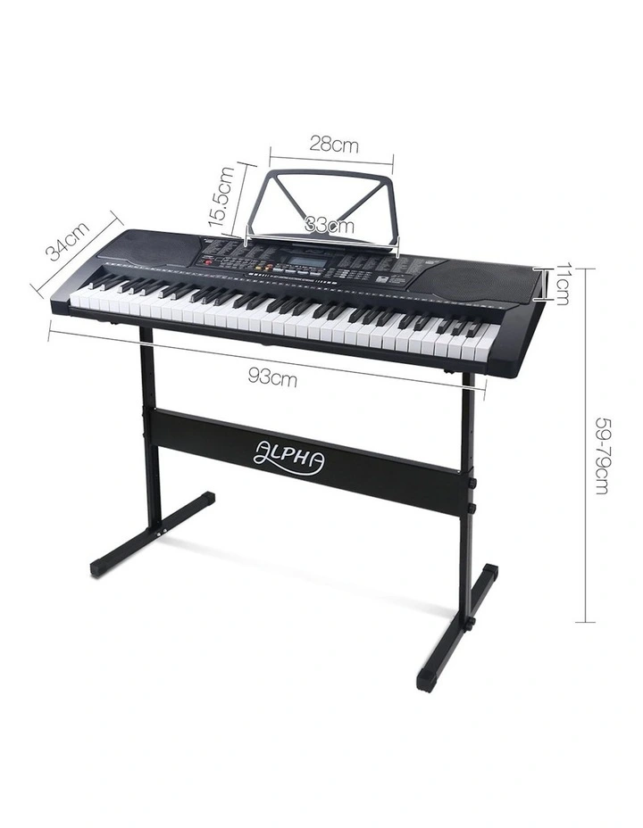 61 Key Lighted Electronic Keyboard