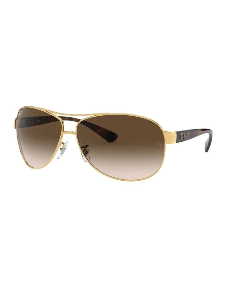 RB3386 Gold Sunglasses