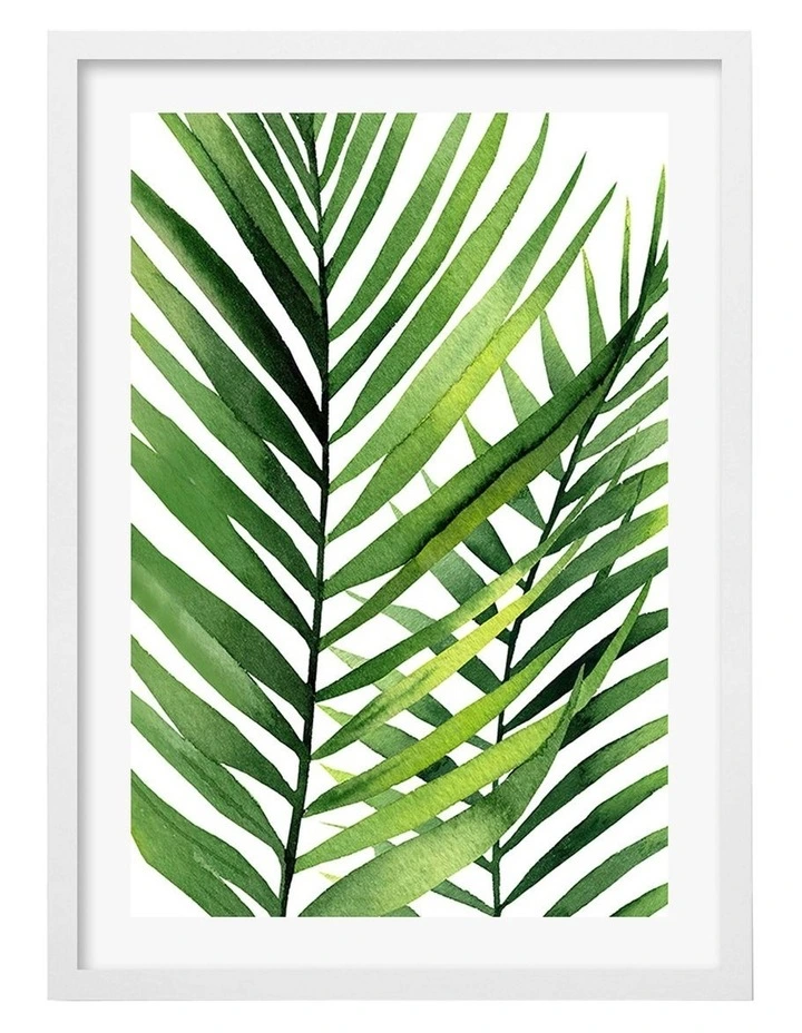 Australian Made Kentia Palm Leaves Art Print A2 in White Frame