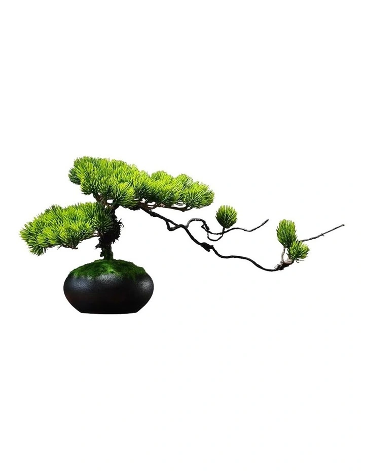 Natural Dark Green Pine Artificial Bonsai & Luxury Fragrance