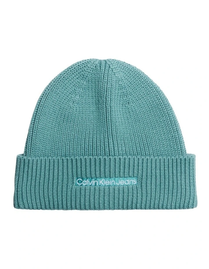 Institutional Beanie in Arctic